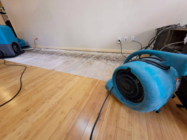 Professional Structural Drying technician working in Balaton, MN